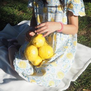 Image Slider